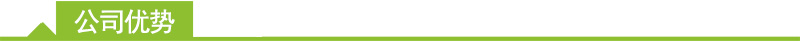 公司优势